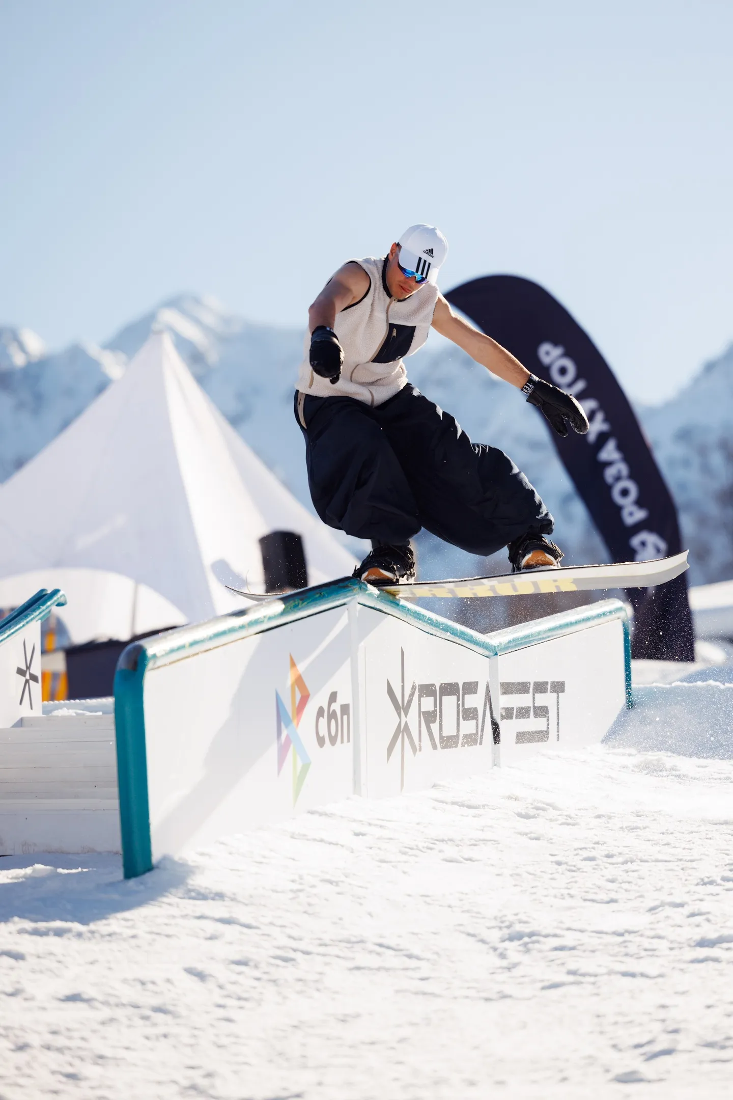 Вячеслав Николаев