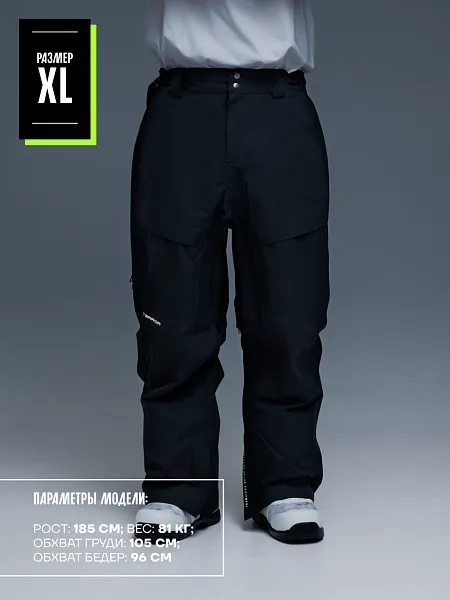 23/24 Штаны TERROR SIGNATURE черный